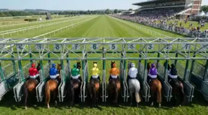 Full Wheel vs Part Wheel in Horse Racing — Cost & Strategy Guide