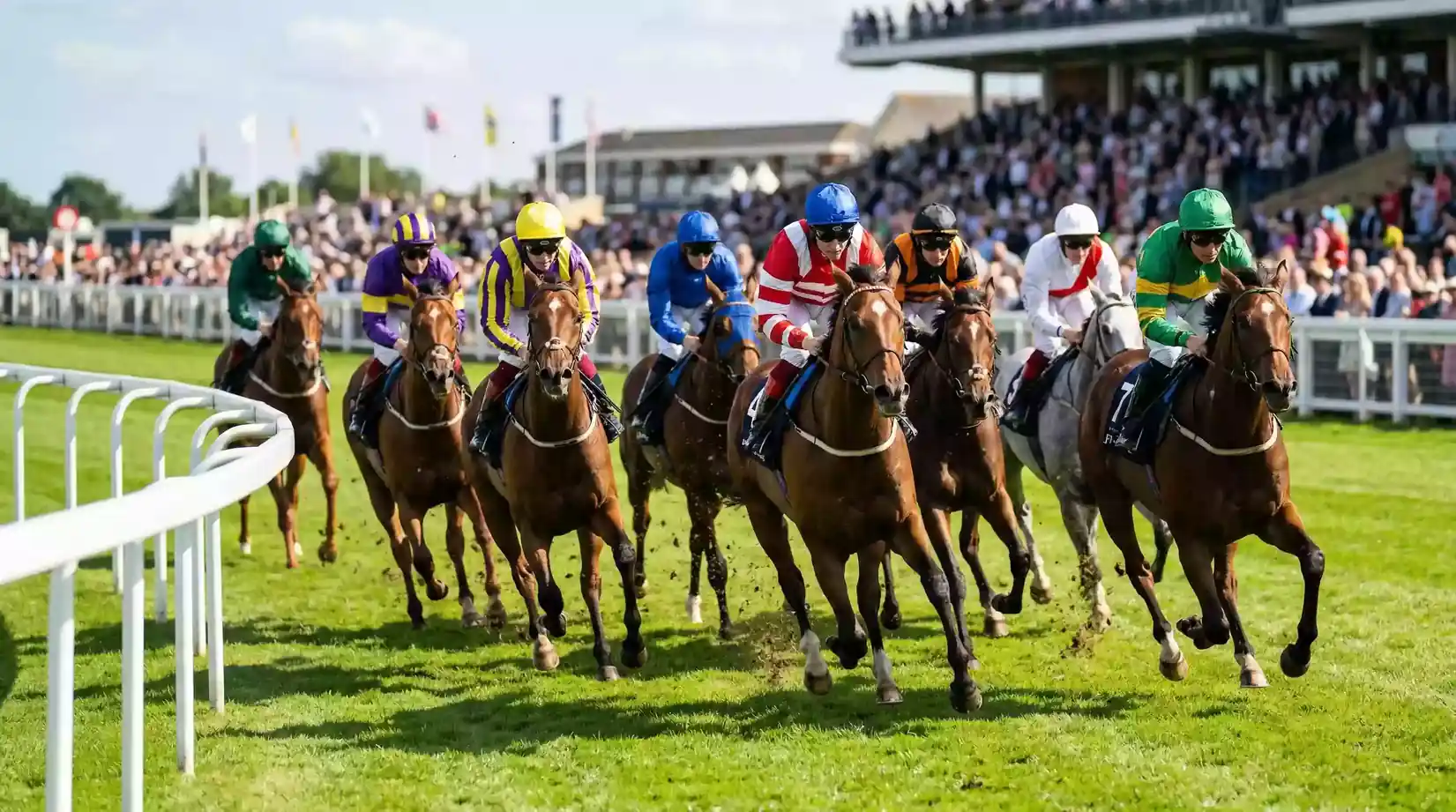 Horses racing past the grandstand at a sunlit UK racecourse with the finish line in view