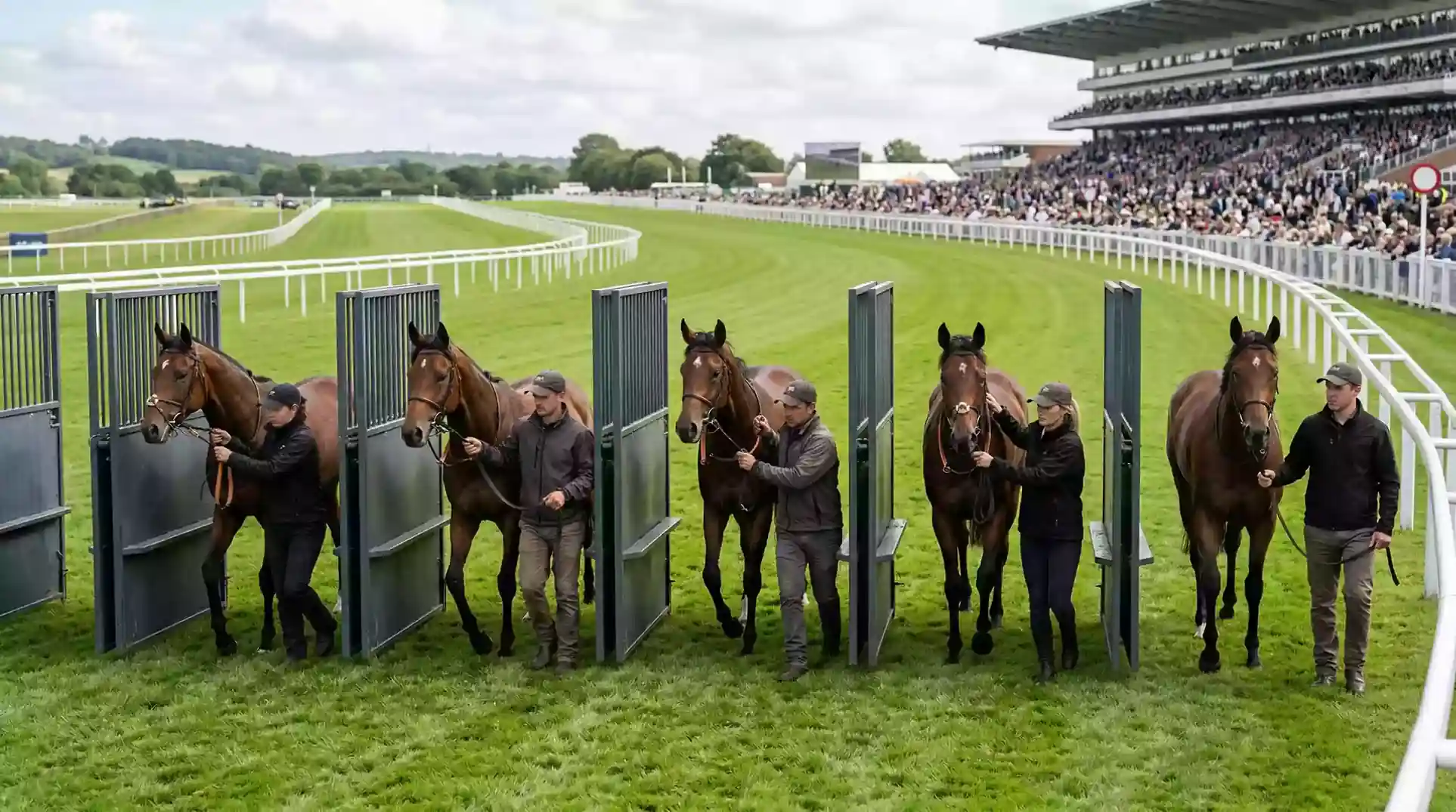 Horses and jockeys lining up at the starting stalls before a UK Flat race with a full field of runners